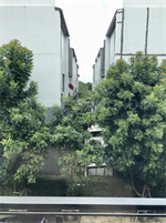 Nirvana Define Srinakarin-Rama9