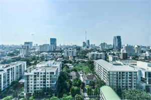 โนเบิล ไลท์ อารีย์