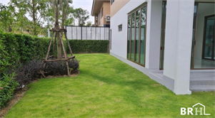 Burasiri Watcharapol