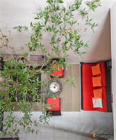 Townhouse Area Rama 3