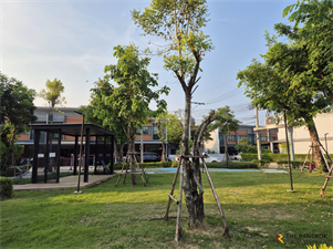 SIRI PLACE Kallapaphruek-Sathorn