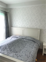 The Seed Memories Siam