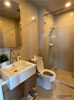 ไฮฟ์ ตากสิน