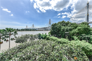 เดอะ พาโน