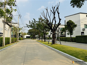 บ้านกลางเมือง ราชพฤกษ์-สาทร