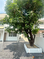 House Area Huai Khwang