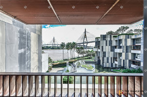 เดอะ พาโน