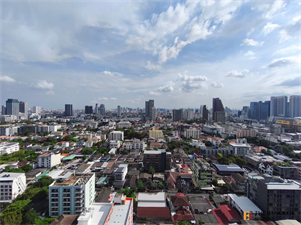 เดอะ ไลน์ ไวบ์