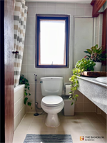 อดามาส พหล-อารีย์