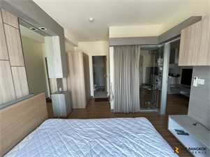 The Seed Memories Siam