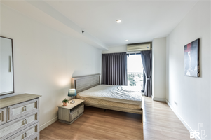 เดอะ ซี๊ด มิงเกิ้ล