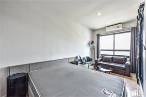 เดอะ ซี๊ด มิงเกิ้ล