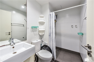 เดอะ ซี๊ด มิงเกิ้ล