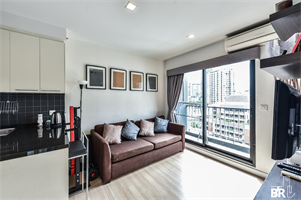 เดอะ ซี๊ด มิงเกิ้ล