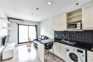 เดอะ ซี๊ด มิงเกิ้ล