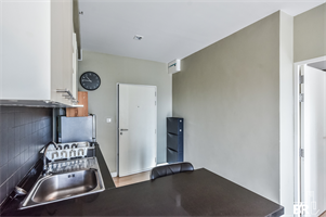 เดอะ ซี๊ด มิงเกิ้ล